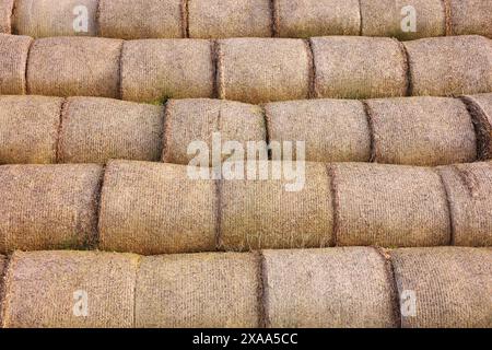 Viele Heuballen als Hintergrund, Nahaufnahme Stockfoto