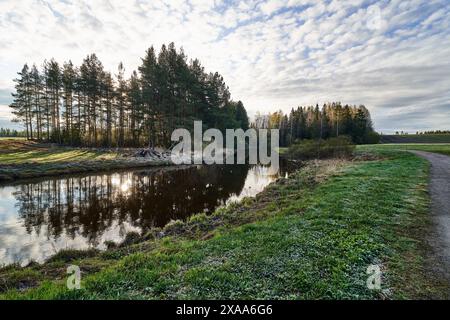 Ein Bach schlängelt sich durch ein grasbewachsenes Feld, das von Bäumen umgeben ist Stockfoto