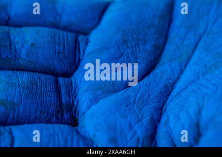 Eine Nahaufnahme einer blau bemalten Hand Stockfoto