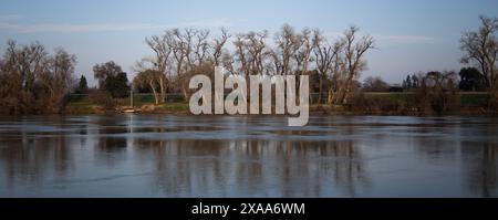 Braune Bäume spiegeln sich im Wasser mit klarem Himmel Stockfoto