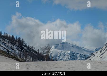 Frühlingsberge und Schnee unter dem Simplonpass mit blauem Himmel an sonnigem, schönem Tag Stockfoto