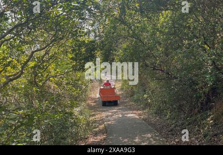 Kleines rotes Auto, das auf einer unbefestigten Straße fährt, umgeben von Bäumen Stockfoto