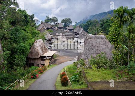 Traditionelles Dorf, Flores Island, Indonesien, mit Strohdächern Stockfoto