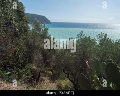 Panoramablick aus der Luft von Punta Manara zur Bucht von Punta Bafe auf zwei farbigen dunklen und hellblauen Meerwassermischungen. Sestri Levante, Ligurien, Italien Stockfoto