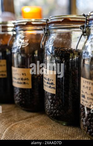 Die Gläser gefüllt mit gerösteten Kaffeebohnen in einem Café in Fuji Fujikawaguchiko, Japan Stockfoto