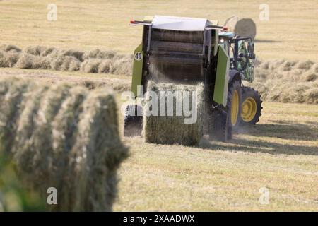 Limousin, Frankreich. Juni 2024. Heuerzeugung in Limousin. Nach den langen Frühlingsregnern ist es an der Zeit, Heu im Südwesten Frankreichs zu ernten. Dieses von den Limousin-Landwirten geerntete Heu wird im Winter zur Fütterung von Limousin-Rindern verwendet. Landwirtschaft, Landwirte, Viehzüchter, Viehzucht, landwirtschaftliche Arbeit, Essen. Limousin, Nouvelle Aquitaine, Frankreich. Europa. Foto: Hugo Martin/Alamy Live News. Stockfoto