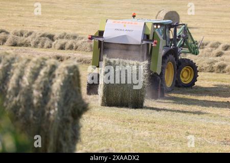 Limousin, Frankreich. Juni 2024. Heuerzeugung in Limousin. Nach den langen Frühlingsregnern ist es an der Zeit, Heu im Südwesten Frankreichs zu ernten. Dieses von den Limousin-Landwirten geerntete Heu wird im Winter zur Fütterung von Limousin-Rindern verwendet. Landwirtschaft, Landwirte, Viehzüchter, Viehzucht, landwirtschaftliche Arbeit, Essen. Limousin, Nouvelle Aquitaine, Frankreich. Europa. Foto: Hugo Martin/Alamy Live News. Stockfoto