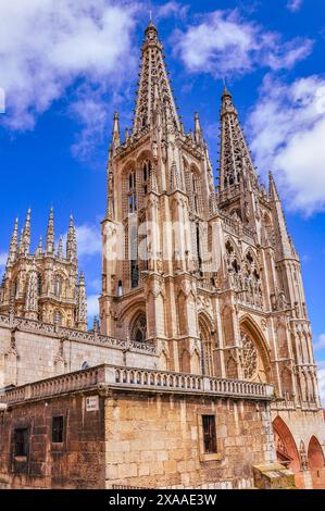 Kathedrale von Burgos im gotischen Stil, ein hervorragendes Beispiel für spanische Architektur Stockfoto