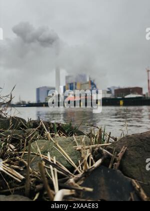 Die Felsen und das trockene Schilf am Flussufer mit Industriegebäuden im Hintergrund Stockfoto