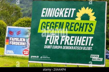 Lauchringen, 26. Mai 2024: Das Kampagnenplakat der Allianz 90/die Grünen, dahinter das Kampagnenplakat der Alternative für Deutschland ( Stockfoto