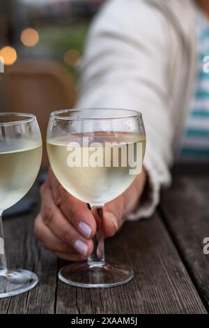 Verkostung von Bordeaux-Weißwein, rechtes Ufer der Gironde-Mündung, Frankreich. Gläser weißen, süßen französischen Weines, serviert im Außenrestaurant, Austern Farm Stockfoto