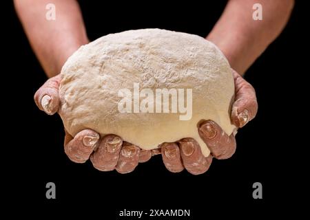 Alte Frauenhände - verarbeiten Sie den Teig für Weizenbrot. Weibliche Hände, die rohen Teig auf schwarzem Hintergrund halten. Hände, die einen fertigen, sauberen Teig halten. Hände Stockfoto
