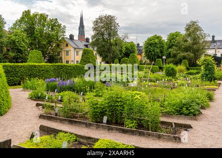 Linnaeus Garten im Zentrum von Uppsala mit Blick auf den Dom und das Haus, in dem der Arzt und Botaniker Carl von Linée seit 1741 während seiner Zeit als Professor und Direktor des Botanischen Gartens der Universität Uppsala lebte. Das Haus und der Garten sind heute ein Museum. Höganäs, Uppsala, Schweden Stockfoto