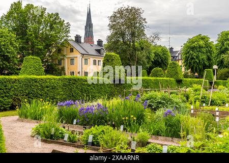 Linnaeus Garten im Zentrum von Uppsala mit Blick auf den Dom und das Haus, in dem der Arzt und Botaniker Carl von Linée seit 1741 während seiner Zeit als Professor und Direktor des Botanischen Gartens der Universität Uppsala lebte. Das Haus und der Garten sind heute ein Museum. Höganäs, Uppsala, Schweden Stockfoto