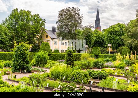 Linnaeus Garten im Zentrum von Uppsala mit Blick auf den Dom und das Haus, in dem der Arzt und Botaniker Carl von Linée seit 1741 während seiner Zeit als Professor und Direktor des Botanischen Gartens der Universität Uppsala lebte. Das Haus und der Garten sind heute ein Museum. Höganäs, Uppsala, Schweden Stockfoto