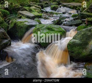 Ruhige Szene eines fließenden Baches, der über moosbedeckte Felsen stürzt und eine ruhige und erfrischende natürliche Landschaft im Peak District Park, EN, schafft Stockfoto
