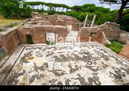 Mosaik, das Neptun mit einem Dreizack darstellt, fährt einen vierpferdeartigen Wagen, der von Seepferden gezogen wird, umgeben von Delfinen und Tritonen, die auf Muscheln blasen, und begleitet von Tritonen - Terme di Nettuno (Neptunbäder) - verbunden mit dem Decumanus durch einen Arkadengang, der diese Seite der Straße monumentalisiert, die Bäder stammen aus dem späten 1. Jahrhundert n. Chr., wurden aber von Kaiser Hadrian (117–138 n. Chr.) wieder aufgebaut und 139 n. Chr. von Kaiser Antoninus Pius fertiggestellt Stockfoto