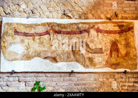 Aquarellmalereien von Schlangen im Mithraeum der Schlangen (Mitreo dei Serpenti), 2. Jahrhundert n. Chr. - Archäologischer Park von Ostia Antica, Rom, Italien 1 Stockfoto
