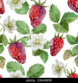 Reife Erdbeeren mit Blumen und Laub, gezeichnet in Aquarell für die Gestaltung von Etiketten und Menüs Stockfoto