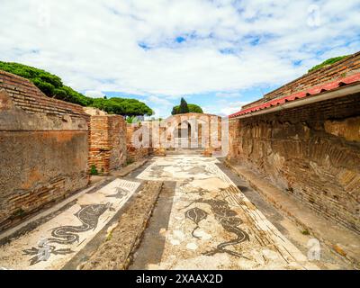 Mosaik in den Bädern des Eifersüchtigen (Terme dell'Invidioso) - Archäologischer Park von Ostia antica, Rom, Italien Stockfoto