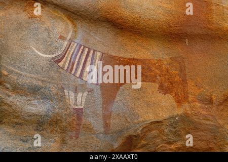 Felskunst von Laas Geel, in der Nähe von Hargeisa, Somaliland, Somalia, Afrika Stockfoto