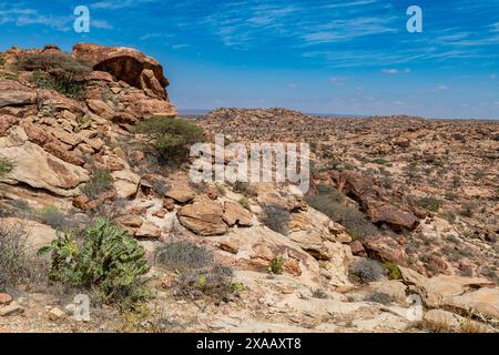 Ausblick aus dem Rock-Gemälde von Laas Geel in der Nähe von Hargeisa, Somaliland, Somalia, Afrika Stockfoto