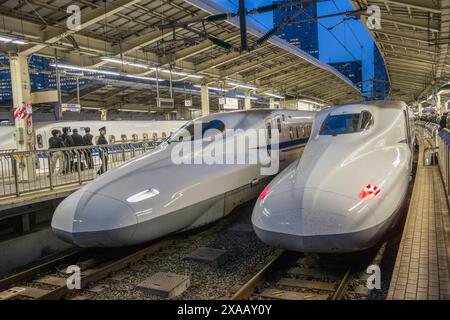 Zwei Hochgeschwindigkeitszüge, Bahnhof Shinkanzen, Tokio, Honshu, Japan, Asien Stockfoto