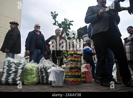 Buenos Aires, Argentinien. Januar 2021. Mate-Teebauern protestieren vor dem Obelisk im Stadtzentrum gegen Maßnahmen der ultraliberalen Regierung von Präsident Milei, die den Import von Mate-Tee aus anderen Ländern genehmigt. Quelle: Fernando Gens/dpa/Alamy Live News Stockfoto