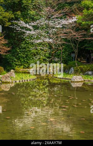 Okazaki Park im Heian Jingu Schrein, Kyoto, Honshu, Japan, Asien Stockfoto