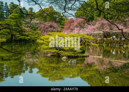 Okazaki Park im Heian Jingu Schrein, Kyoto, Honshu, Japan, Asien Stockfoto