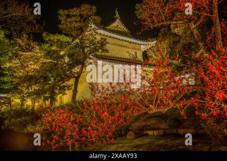 Nächtlich beleuchteter Kyoto Kaiserpalast während der Kirschblüte, Kyoto, Honshu, Japan, Asien Stockfoto