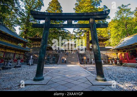 Toshogu-Schrein, UNESCO-Weltkulturerbe, Nikko, Präfektur Tochigi, Kanto, Honshu, Japan, Asien Stockfoto