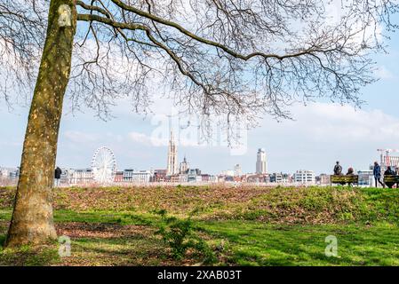 Blick auf die Skyline von Antwerpen über den Fluss Schelde von einem Park, Scheldekaaien Linkeroeve, Antwerpen, Belgien, Europa Stockfoto