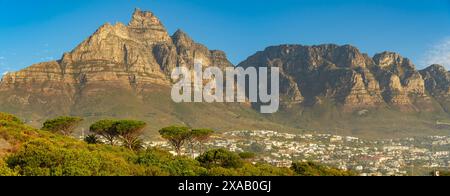 Blick auf das Kloof Corner Table Mountain Naturschutzgebiet von Camps Bay, Kapstadt, Westkap, Südafrika, Afrika Stockfoto