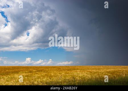 Gewitterwolken über den landwirtschaftlichen Feldern. Stockfoto