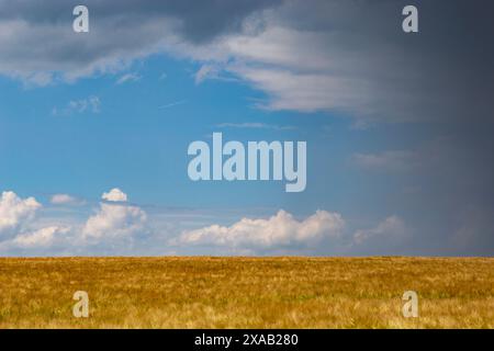 Gewitterwolken über den landwirtschaftlichen Feldern. Stockfoto