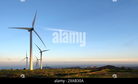 Einige Windräder stehen auf einem Feld mit klarem blauen Himmel. Konzept von Energie und Energie Stockfoto