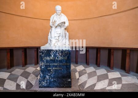 Statue von Carl von Linnè im Botanischen Garten in Uppsala. Triangeln, Uppsala, Schweden Stockfoto