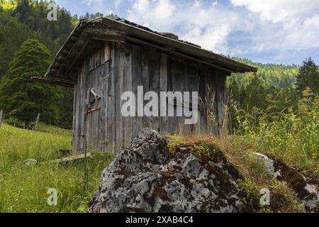 Fotografie einer alten Almholzhütte am Gosauer See bei hohem Dachstein in Österreich an einem sonnigen Sommertag Stockfoto