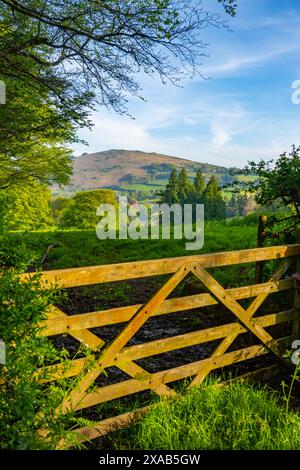 Blick über ein Tor in Richtung Meldon Hill über Chagford Devon an einem Sommerabend Stockfoto