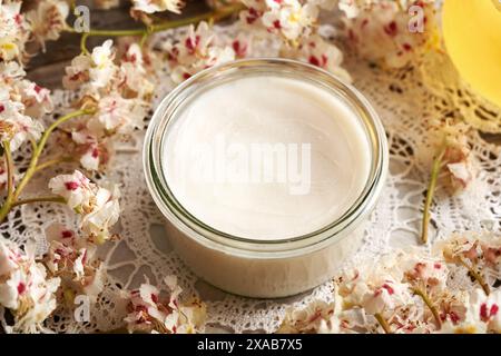 Rosskastaniensalbe für die Adern in einem Glas Stockfoto