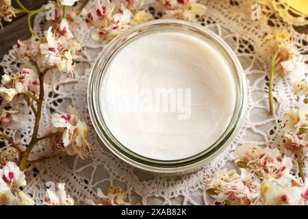 Rosskastaniensalbe für die Adern mit Freh Aesculus hippocastanum Blüten aus der Frühjahrszeit Stockfoto