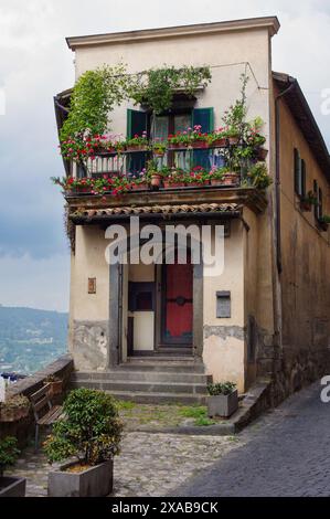 Orvieto Haus mit Container/Fensterkasten Gärten oben und rote Tür, Orvieto, Italien Stockfoto