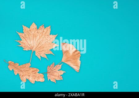 Türkisfarbener Hintergrund mit goldenen Blättern und Kopierraum Stockfoto