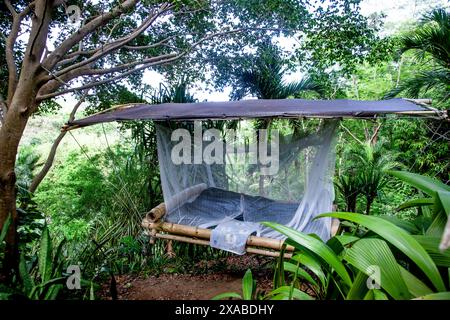 Eingebettet in die üppige Umgebung von Rincón, Puerto Rico, bietet diese Öko-Lodge einen herrlichen Rückzugsort, in dem Gäste im umweltfreundlichen Bambus entspannen können Stockfoto