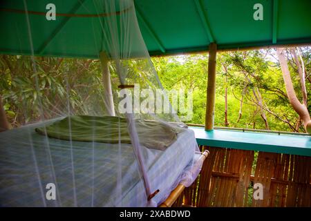 Eingebettet in die üppige Umgebung von Rincón, Puerto Rico, bietet diese Öko-Lodge einen herrlichen Rückzugsort, in dem Gäste im umweltfreundlichen Bambus entspannen können Stockfoto