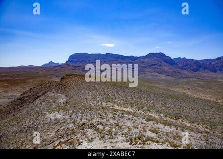 Die legendären Chisos Mountain Ranges bieten atemberaubende Ausblicke und raue Abenteuer im Big Bend National Park. Stockfoto