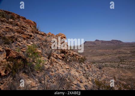 Die legendären Chisos Mountain Ranges bieten atemberaubende Ausblicke und raue Abenteuer im Big Bend National Park. Stockfoto