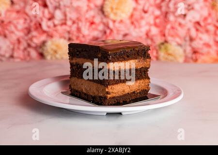 Stück Schokoladenkuchen Stockfoto