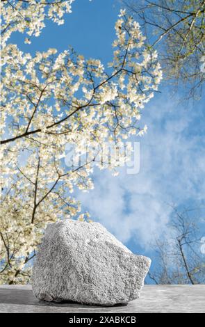 Podium-Texturstein zur Präsentation vor dem Hintergrund der blühenden weißen Magnolie und des blauen Himmels. Kopierbereich. Vertikales Foto Stockfoto
